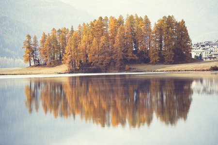 Autumn larches are reflected in alpine lake in the Engadine valley of Switzerland in vintage photography styleの写真素材