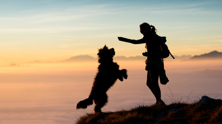Girl gives food to his mountain dog photo silhouettes with a spectacular backdrop of clouds and mountainsの写真素材