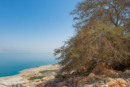 Near the oasis of  Ein Gedi In the background the Dead Sea in Israel in springの写真素材