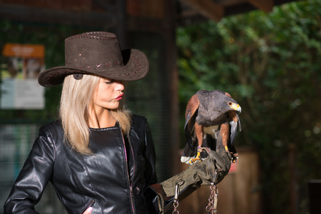 Beautiful blond woman holding an harris hawk on a protective glove.