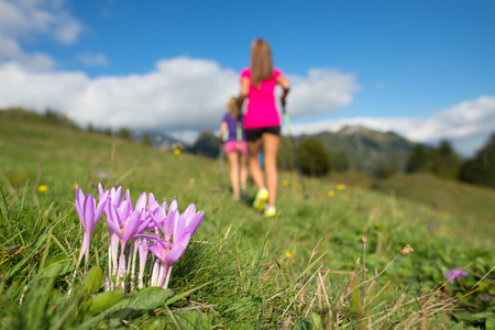 Pink mountain flower with girls running in the meadow.の写真素材