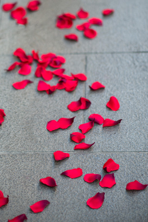 Red petals on the ground on the sidewalk.の写真素材