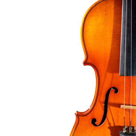 Detail of old violin on a white background.の写真素材