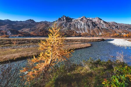 Engadine autumn landscape on the Swiss Alpsの写真素材