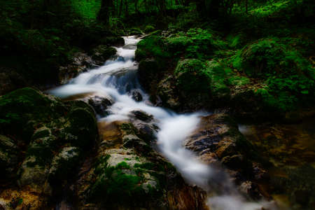 A watercourse in a small valley in the woods
