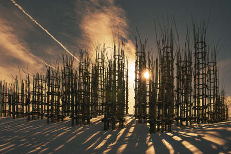 The vegetable cathedral on the Italian pre-Alps in the province of Bergamo Monte Areraの写真素材