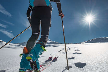 Ski mountaineer climbs up a snowy slope with seal-skinsの写真素材