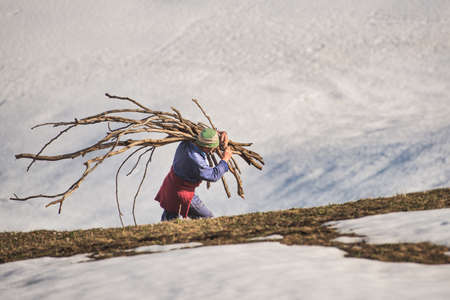 Lonely man carries firewood towards home in rural place in snowの写真素材