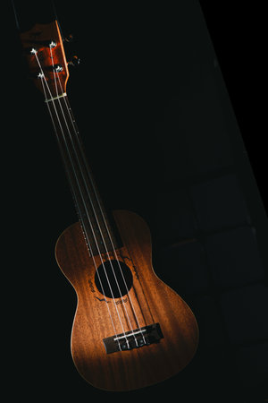Ukulele stringed musical instrument on black background