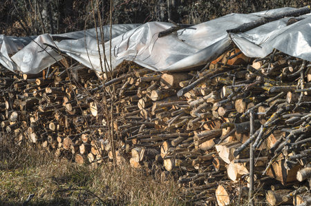 Firewood under cover of a plastic sheet