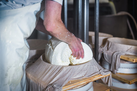 Creation of cheese form from cow's milk in dairy in northern Italy