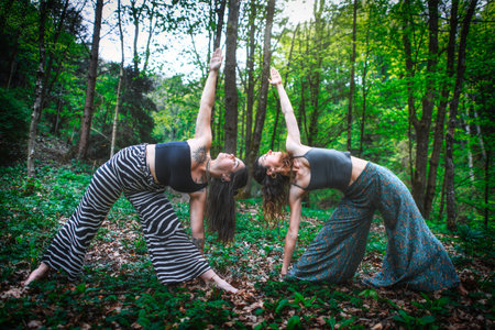 Sports yoga poses by a couple of girls practiced in natureの写真素材
