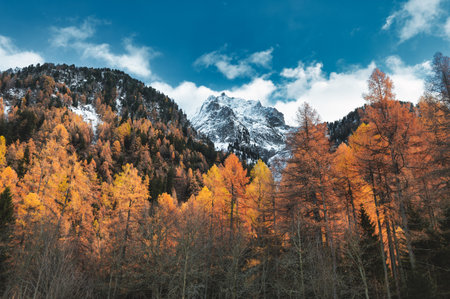 Autumn landscape with forest and high mountains in Swiss alpsの写真素材