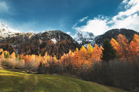 Autumn colors in the mountains on Swiss alpsの写真素材