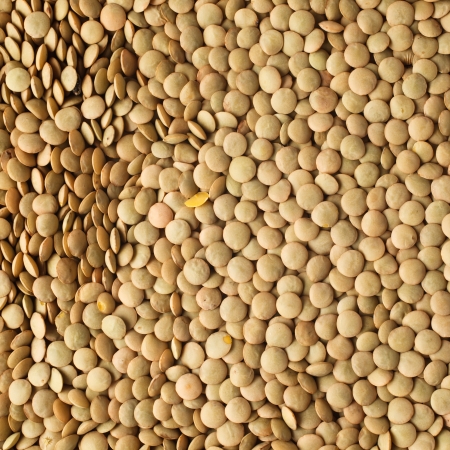 Macro shoot of lentils textureの写真素材