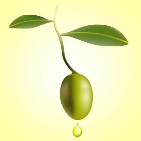 Olive with leaves and drop of oilのイラスト素材