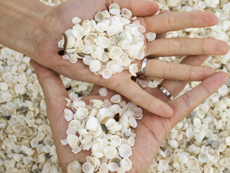 shell beach married couple hands wedding ring