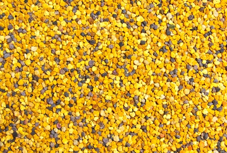 Bee Pollen textureの写真素材