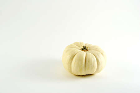 White Pumpkinの写真素材