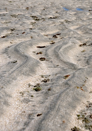pools of maragogi - brazilの写真素材