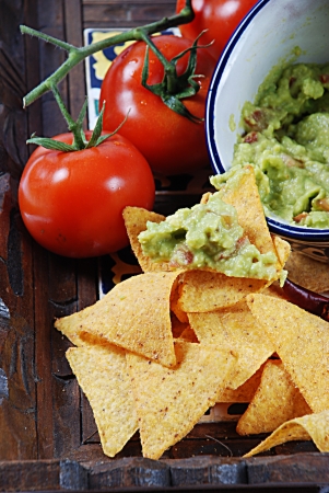 the typical mexican food with guacamole and nachosの写真素材