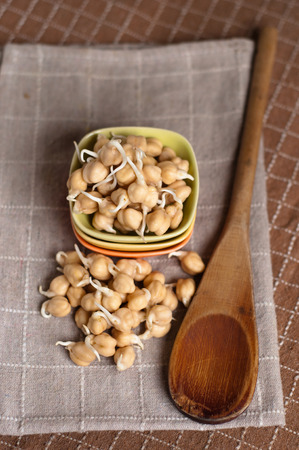 fresh chickpea sprouts ready to be cockedの写真素材