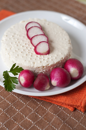 fresh homemade ricotta and red radishes on a white dishの写真素材