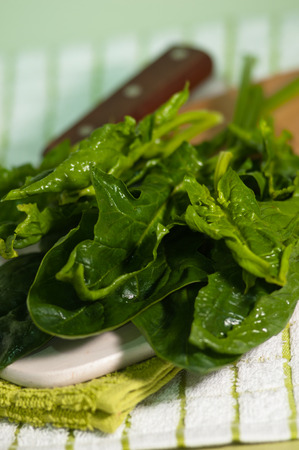 green and fresh spinach a bomb of antioxidantsの写真素材