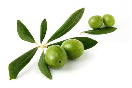 Olive green on a white backgroundの写真素材