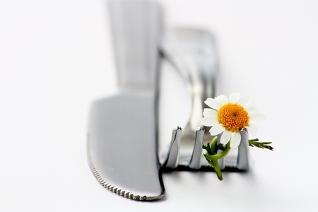 Daisy on the fork nodeの写真素材