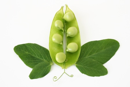Composition of pea pods and leavesの写真素材