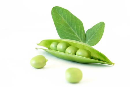 Bean and pea leavesの写真素材