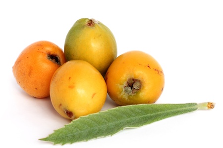 Loquatの写真素材