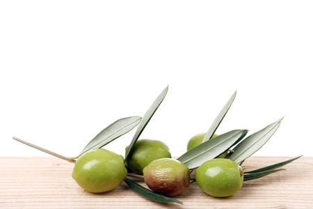 Olive green and twigsの写真素材