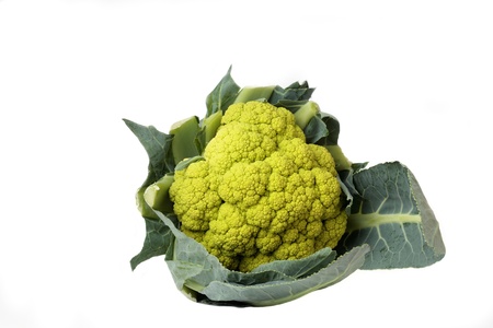 Green cauliflower#2の写真素材