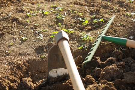 Hoe and rake