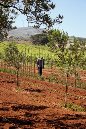 Agricoltura e agricoltore 3の写真素材