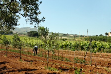 Agricoltura e agricoltore 2の写真素材