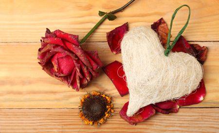 Heart and flowers 2の写真素材