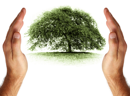 Care and protection of environmentの写真素材