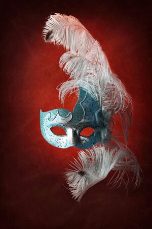 Beautiful masks on redの写真素材