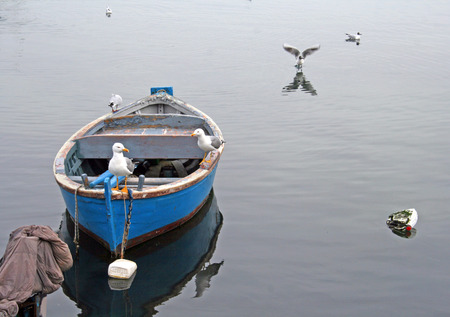 Old wooden boat with seagulls on the very calm water and backgroundの写真素材