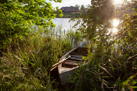 Green nature by a lake in a summer evening with a hidden boat with sun reflection on the waterの写真素材