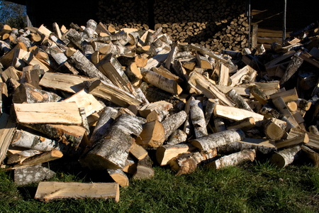 Pile of birch wood and stacked wood logs