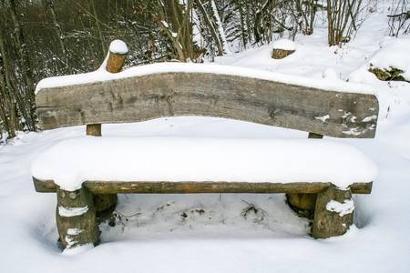 Wooden bench with snow in a wood or forestの写真素材