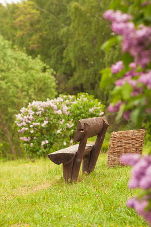 Wooden bench in a wildflower green garden with trees, in spring or summerの写真素材