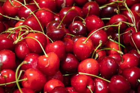 Fresh cherries in a farmer agricultural open air market, seasonal healthy food. Concept of biological, bio products, bio ecology, grown by yourself, vegetariansの写真素材