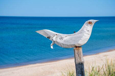 A seagull on a sandy beach in the backgroundの写真素材