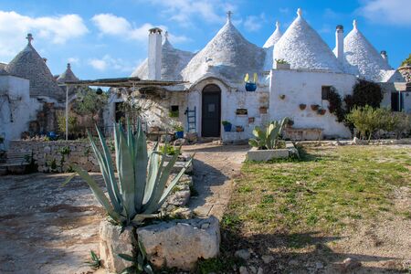 Group of Trulli with garden, traditional old houses and old stone wall in Puglia, Italy, Europe with agave plantのeditorial素材