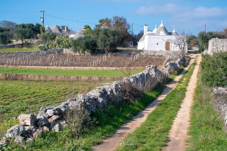 Trullo with white house, vineyard and olive trees traditional old houses and old stone wall in Puglia, Italy, Europeのeditorial素材